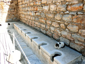 latrines, trous de souris pour chats ? Un chat attend